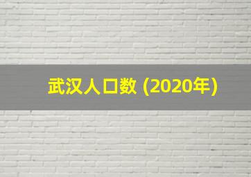 武汉人口数 (2020年)